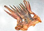 Salty Nutritious Tentacle Dried Squid Snack Korean Market Brown Color