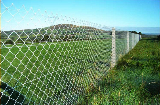 Alibaba china cheap galvanized chain link fence for sale ( diamond wire mesh)
