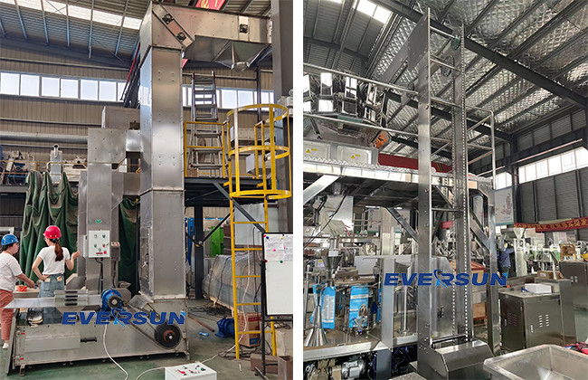 Heavy Duty Chain Bucket Elevator For High Capacity Bulk Material Transport