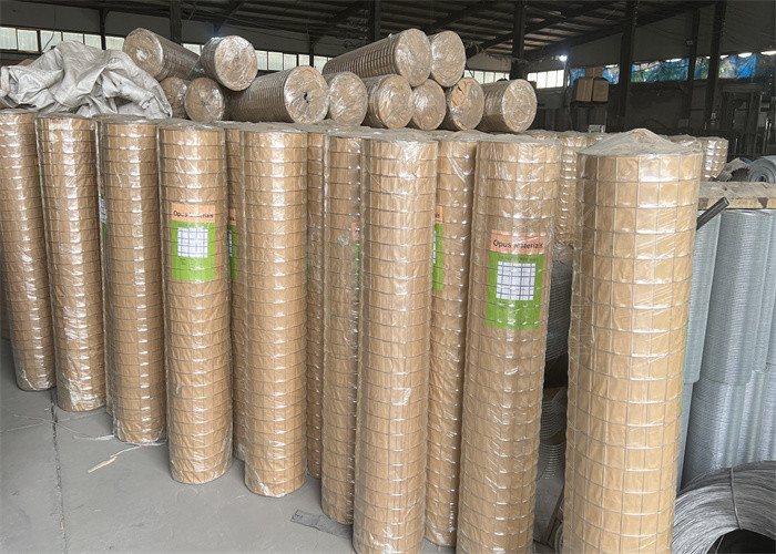 10 gauge Galvanized Iron Wire Mesh For Animal Enclosures 2m - 50m
