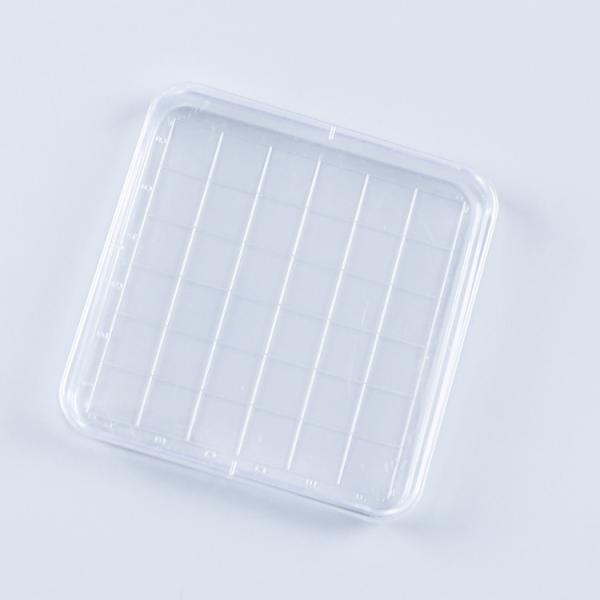 Sterile Square Petri Dish Smooth Surface 90x15mm