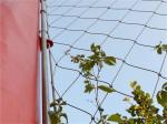 Flexible Inox Line Webnet / Cable Mesh