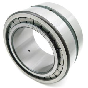 China SL18 5004 Full Compeletment Cydlinrical Roller Bearing wholesale