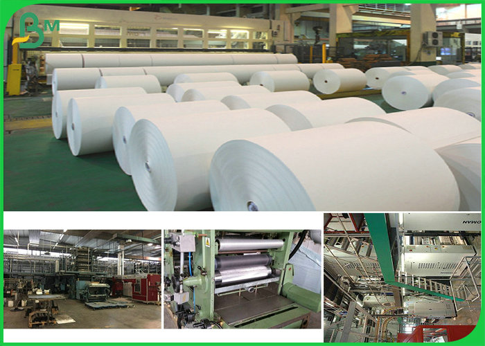 Grade AA  869mm 889mm 50gsm 55gsm 60gsm White Printing Paper For magazine