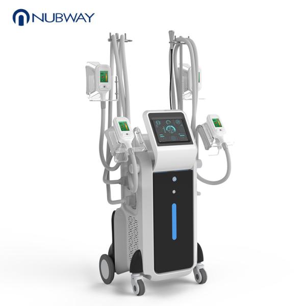 New technology fat freezing criolipolisis body slimming criolipolisis machine