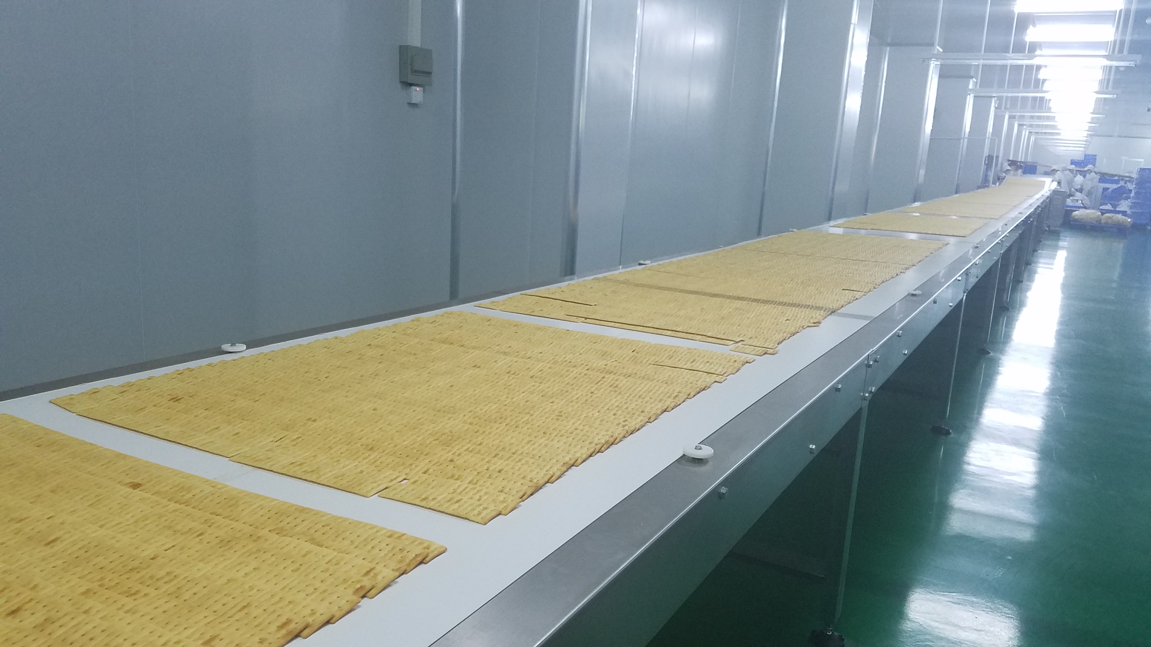 Working Width 800mm 2000kgs Per Hour Biscuits Making Machine