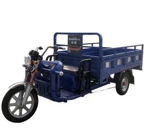 China Pedal 15 Degree 1000w Cargo Tricycle Bicycle wholesale