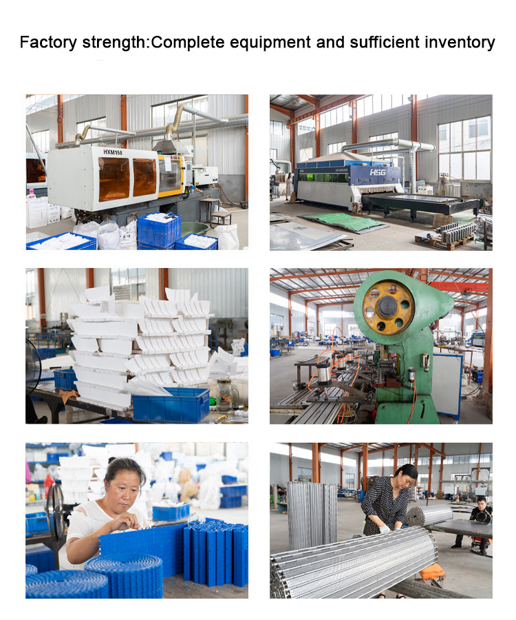 Plastic Module Belt for Conveyor System with Competitive Price