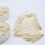 Physical Extraction Cas No 8002-80-0 Dried Wheat Gluten