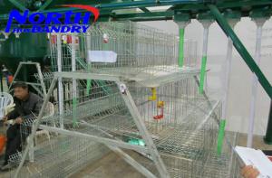 China durable qualified poultry farm battery chicken cage wholesale