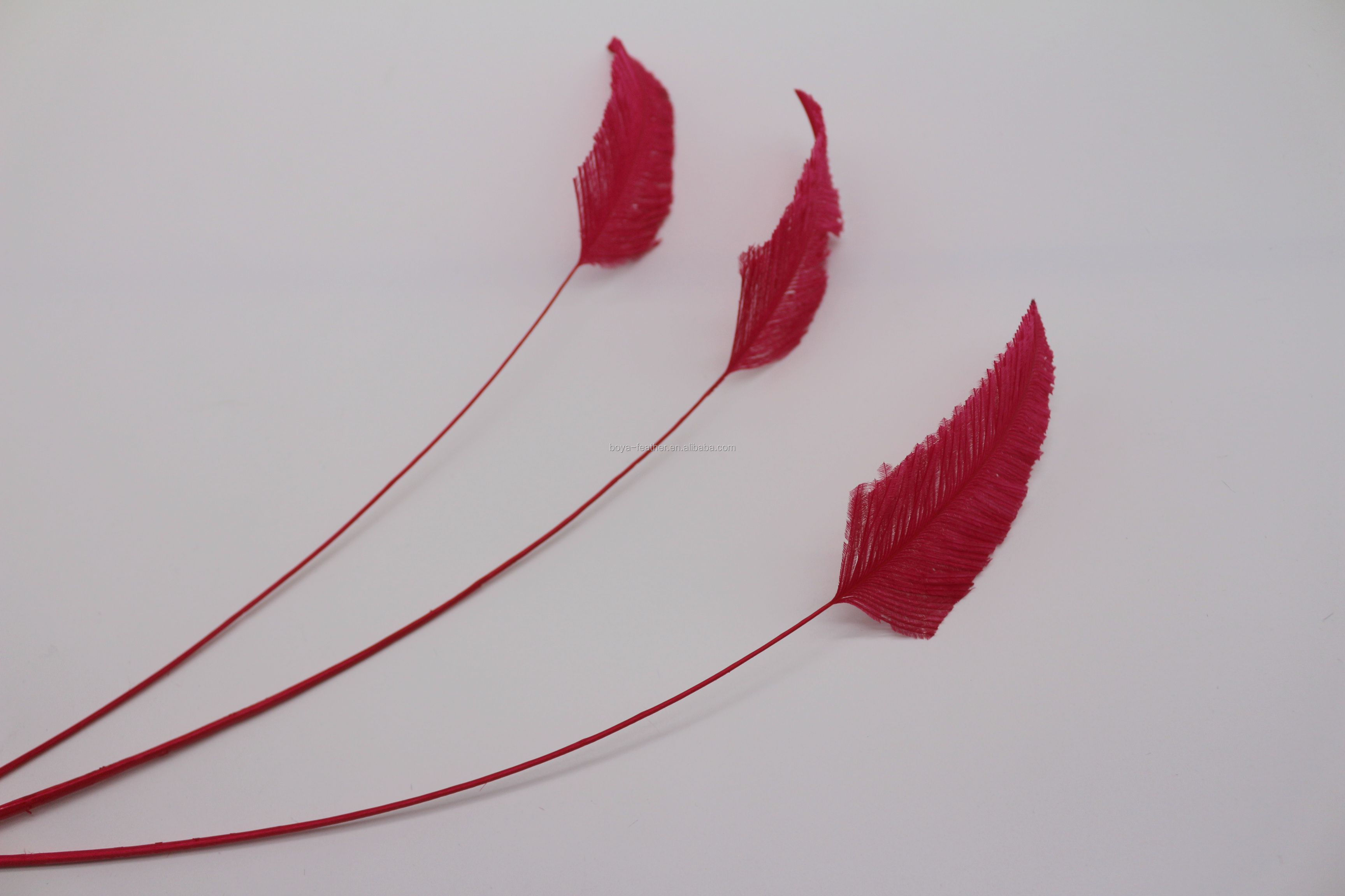 25-30cm Decor Millinery Feather , Head Arrow Stripped Ostrich Plume Feathers