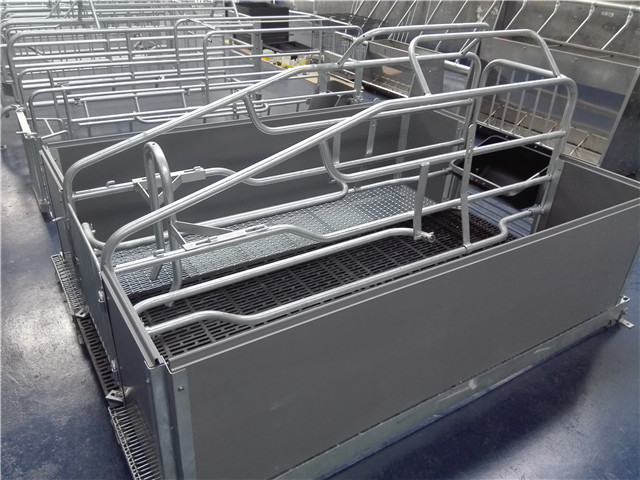 hot dip galvanized pig farrowing crate pig cages for pig farming