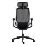 Auto Fitting Headrest Ergonomic Mesh Task Chair 350mm Nylon Base