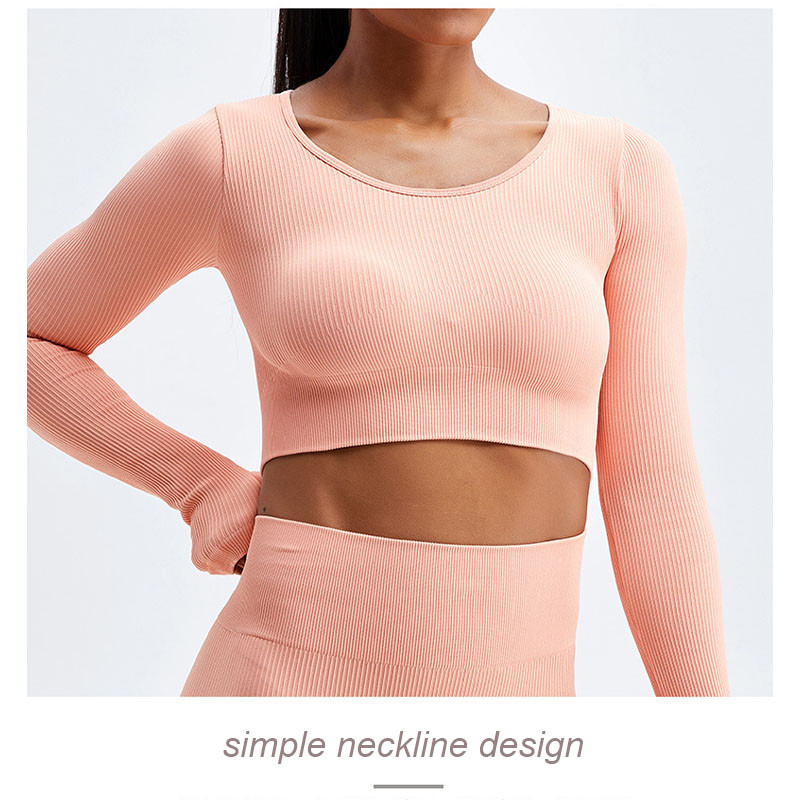 Stretchable Female Yoga Set Clothes Seamless Running Ribbed Crop Top Leggings