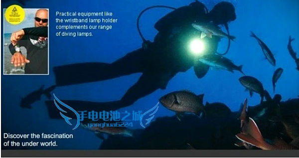 High Power diving flashlight LED light