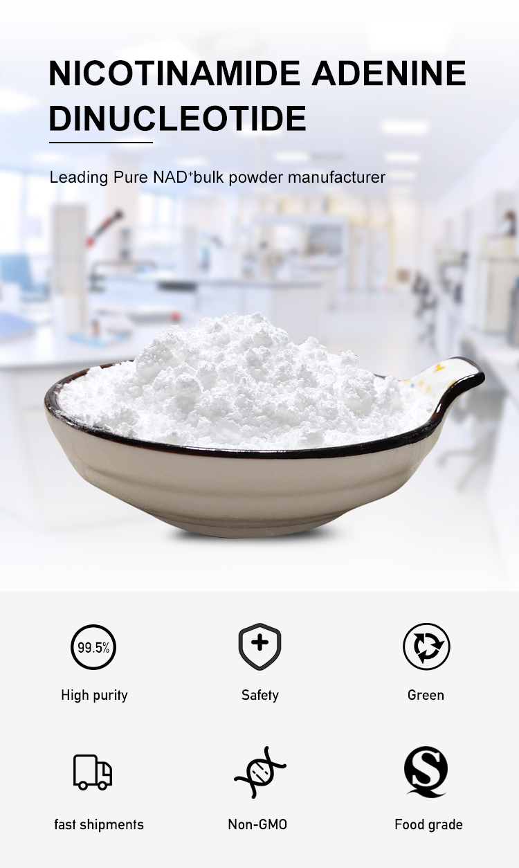 CAS 53-84-9 High Purity Nad Powder For Bulk Powder Nutrition Enhancers