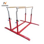 Body Building Double Horizontal Bars And Durable Outdoor Fitness Equipment