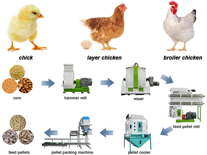 3-5TPH Large Aquatic Ruminant Animal Feed Processing Equipment