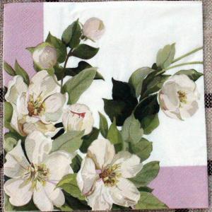 China OEM Christmas Party Napkins wholesale
