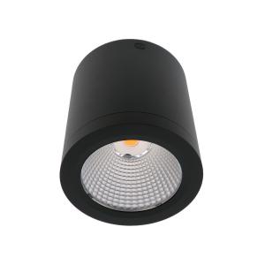 China Anti Glare 1000lm Surface Mounted Downlight 10W wholesale