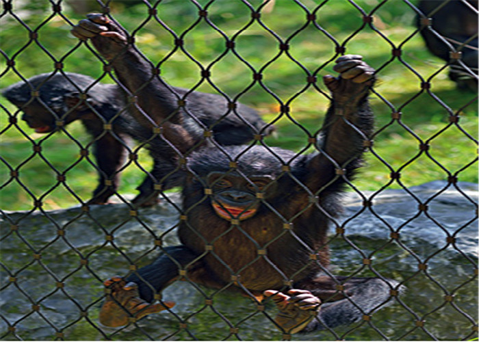 Silver Stainless Steel Zoo Aviary Mesh Nonflammable Easy Maintenance
