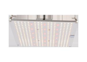 China ETL AC100V Quantum Board Led Grow Lights wholesale