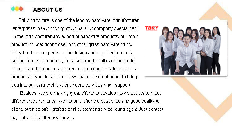 45-65kg Max Door Weight Automatic Sensor Door Closer for All Metal Steel and Plastic Doors