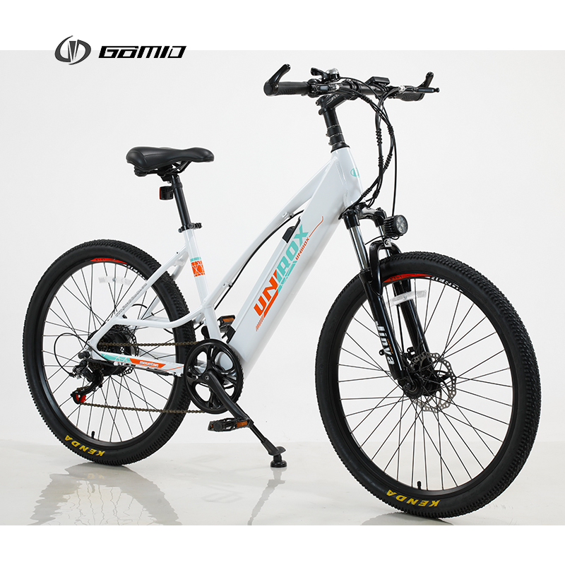 Electric Mountain Bike Aluminium Alloy High Capacity EMTB With Suspension Fork Suspension