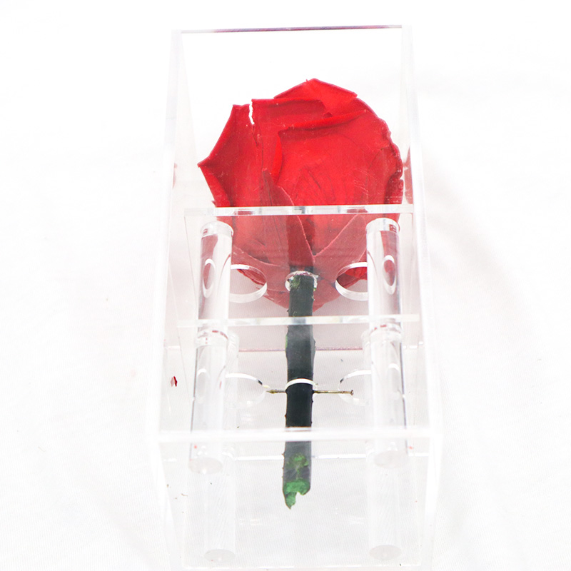 Wedding / Party Decoration Preserved Rose Flower With Long Stem