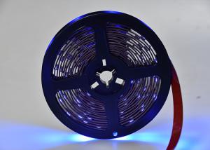 China App Control 20lm/Led 2700K 12v 5050 Rgb Led Strip wholesale