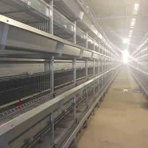 China Manual Feeding System 45 Days Chicken Cage , 3 Tiers Chick Rearing Cage wholesale