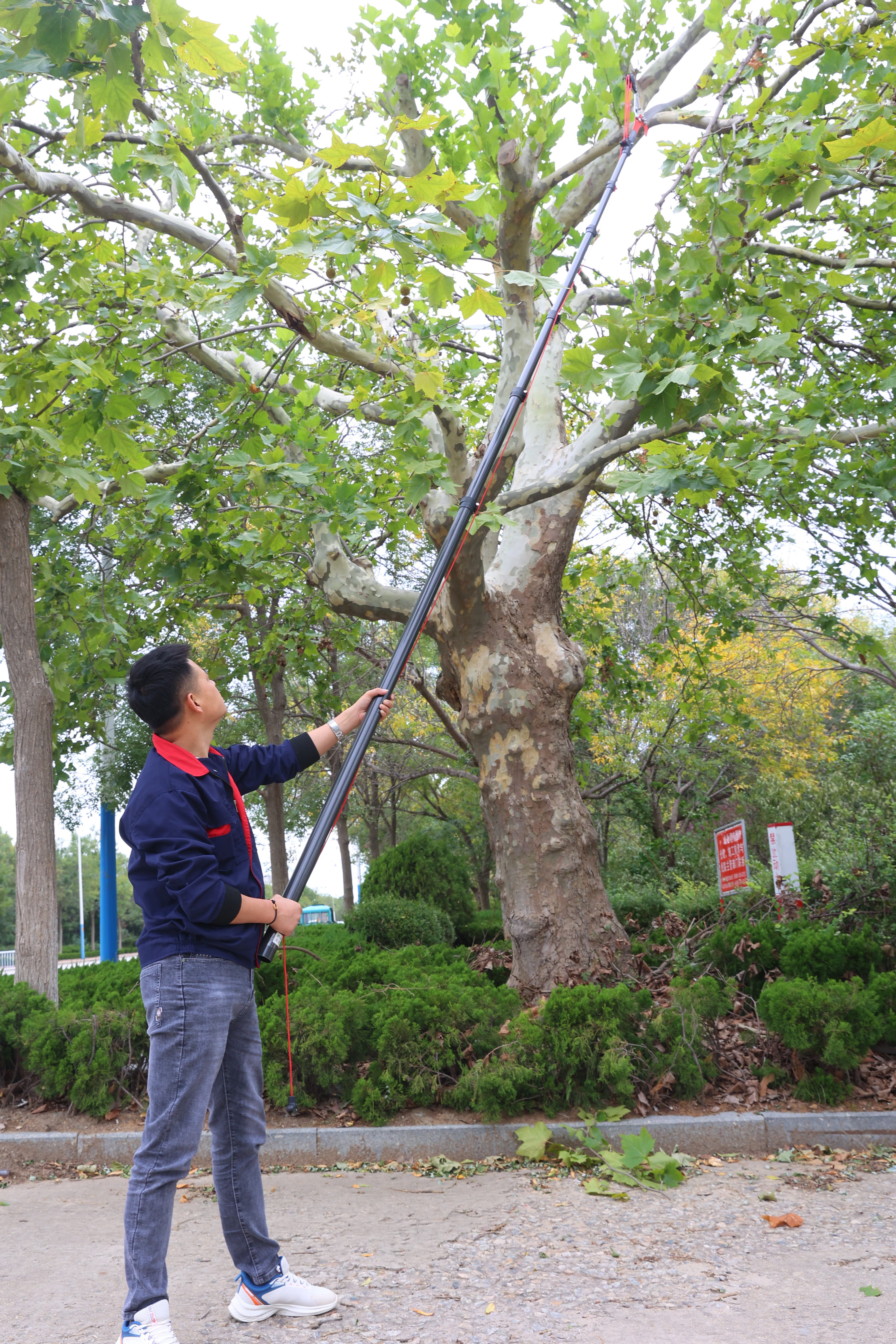 50ft Carbon Fiber Harvesting Pole For Coconut and Betel Nut Harvesting for India and Bangladesh Market OEM