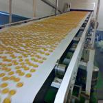 Biscuit Production Line Flat Belt Conveyor 0.4kW - 22kW Power High Efficiency