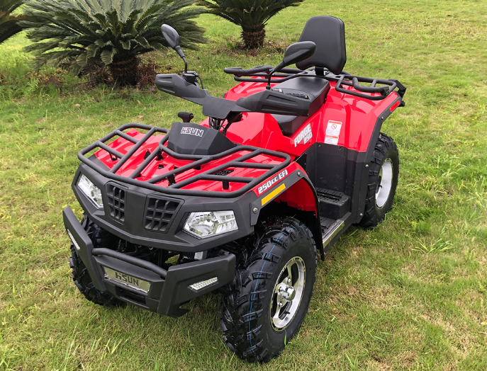 1000W Single-cylinder Water-cooled Engine Two-drive Chain Drive Hisun 250cc ATV with 1