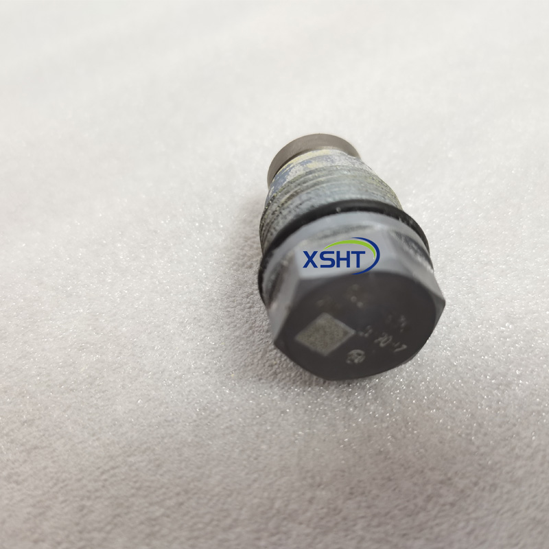 High Pressure Common Rail System Fuel Pressure Limiting Valve Sensor OEM Standard Size