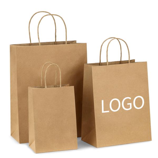 Recyclable Paper Bags With Paper Twist Rope Handle Thickness 100gsm - 150gsm