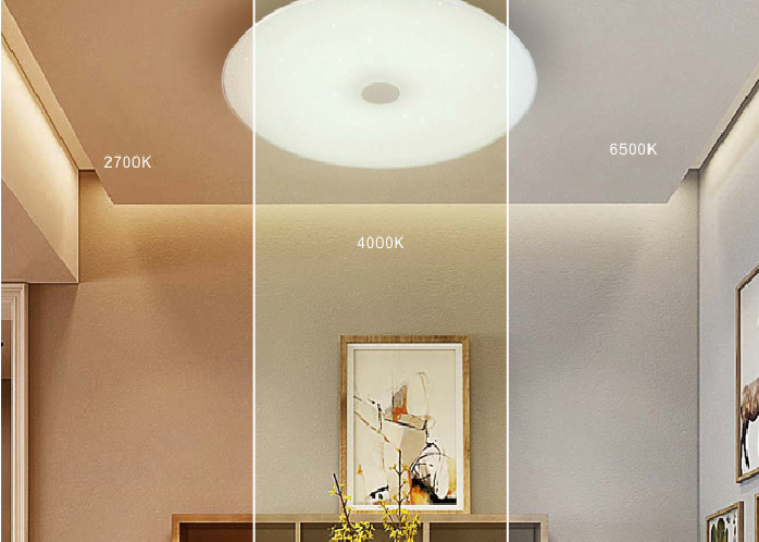 Enjoy Series Music LED Ceiling Lights , Smart Bluetooth LED Surface Mount Ceiling Lights