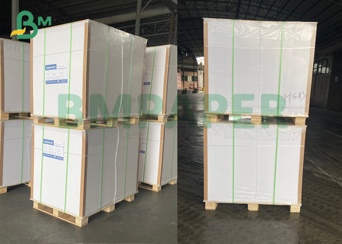polycoated cup stock paper