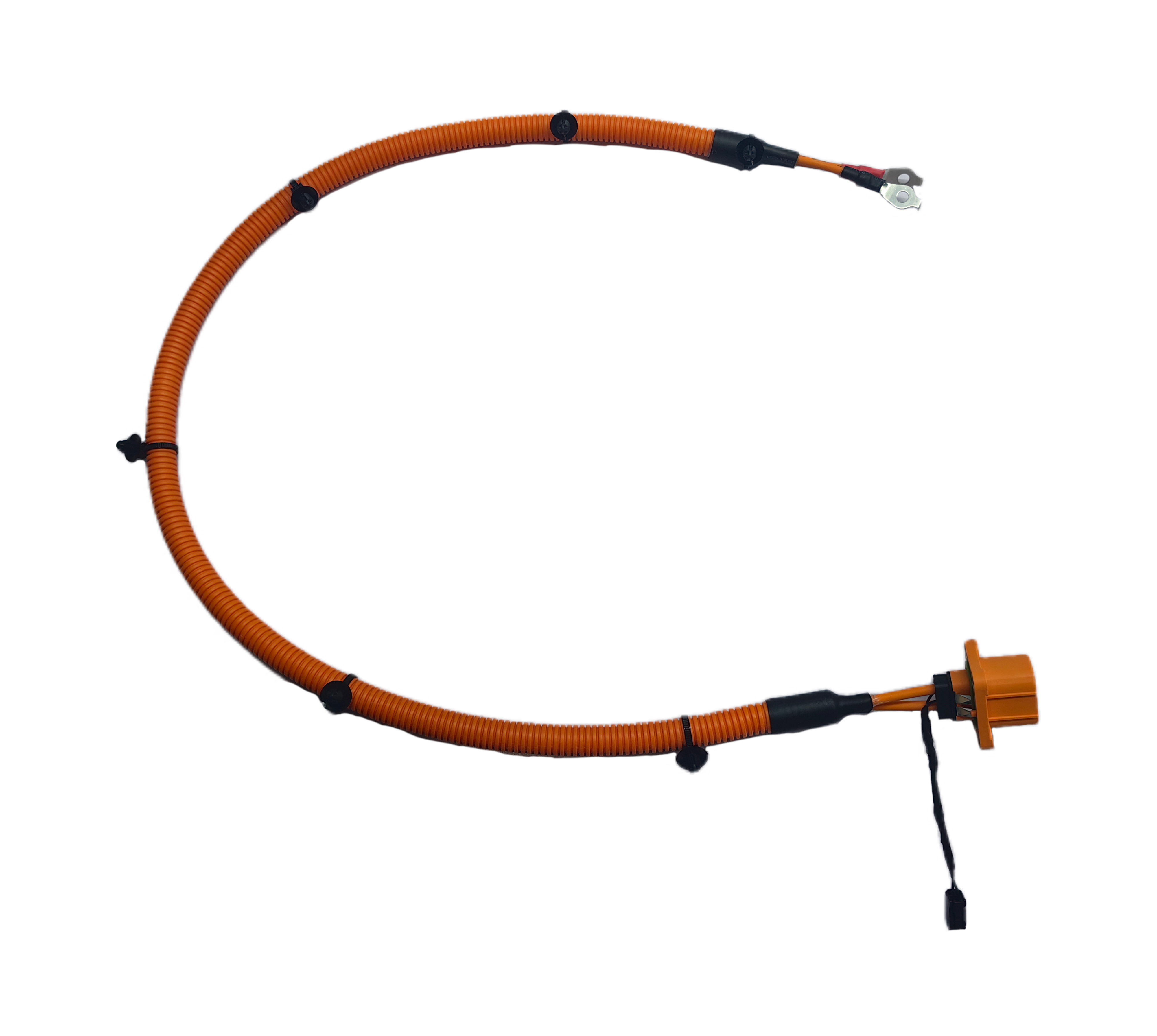 Automotive BMS Wiring Harness with Corrosion Resistant Coating