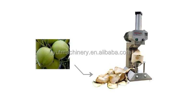 Automatic Coconut Peeling Machine 220V Young Green Coconut Skin Peeler with Timer