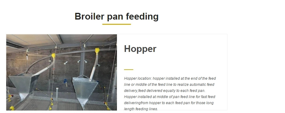 330mm Broiler Pan Feeder Poultry Automatic Pan Feeding System