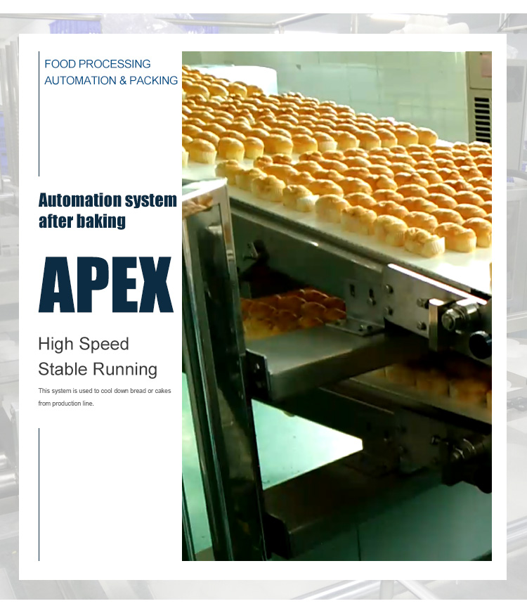 High Quality Industry Commercial Food Material Custom Conveyor System