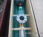 Stainless Steel Non-Leakage Chemical Centrifugal Pump & Mini Screw Pump/High