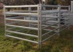30-40 Head 50x50 High Visibility Livestock Cattle Yard Panels