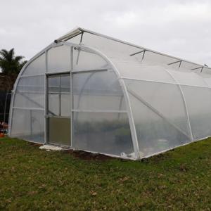 China Film Plastic Glass Single Span Greenhouse High Tunnel Gray Steel wholesale