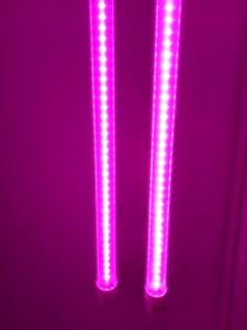 China AC 85V LED Plant Grow Lights wholesale