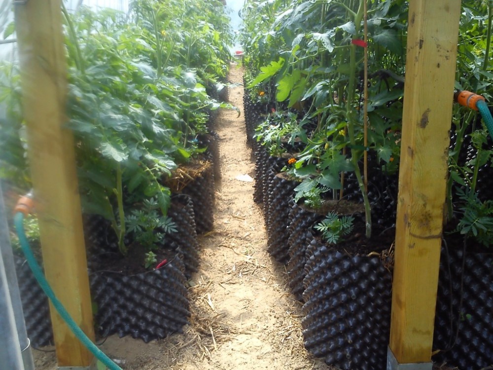 Root Growth White 0.9mm HDPE Plastic Greenhouse Air Pruning Buckets