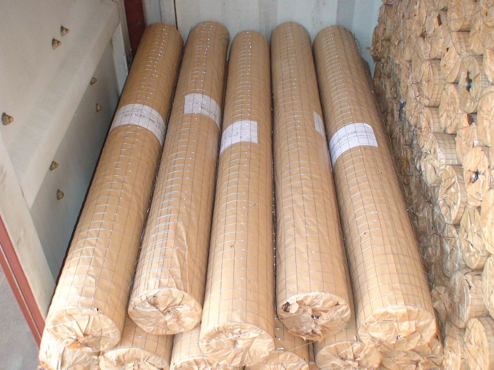1" Galvanized Welded Wire Mesh Rolls Stainless Steel For Protection / Cage
