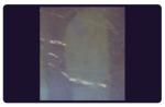 C205 BTDM-Ⅰ Vacuum coating fingerprint developing instrument