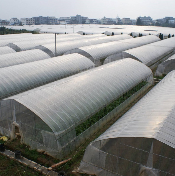 0.12mm-0.8mm UV Resistant Plastic Sheeting Greenhouse Anti Drip